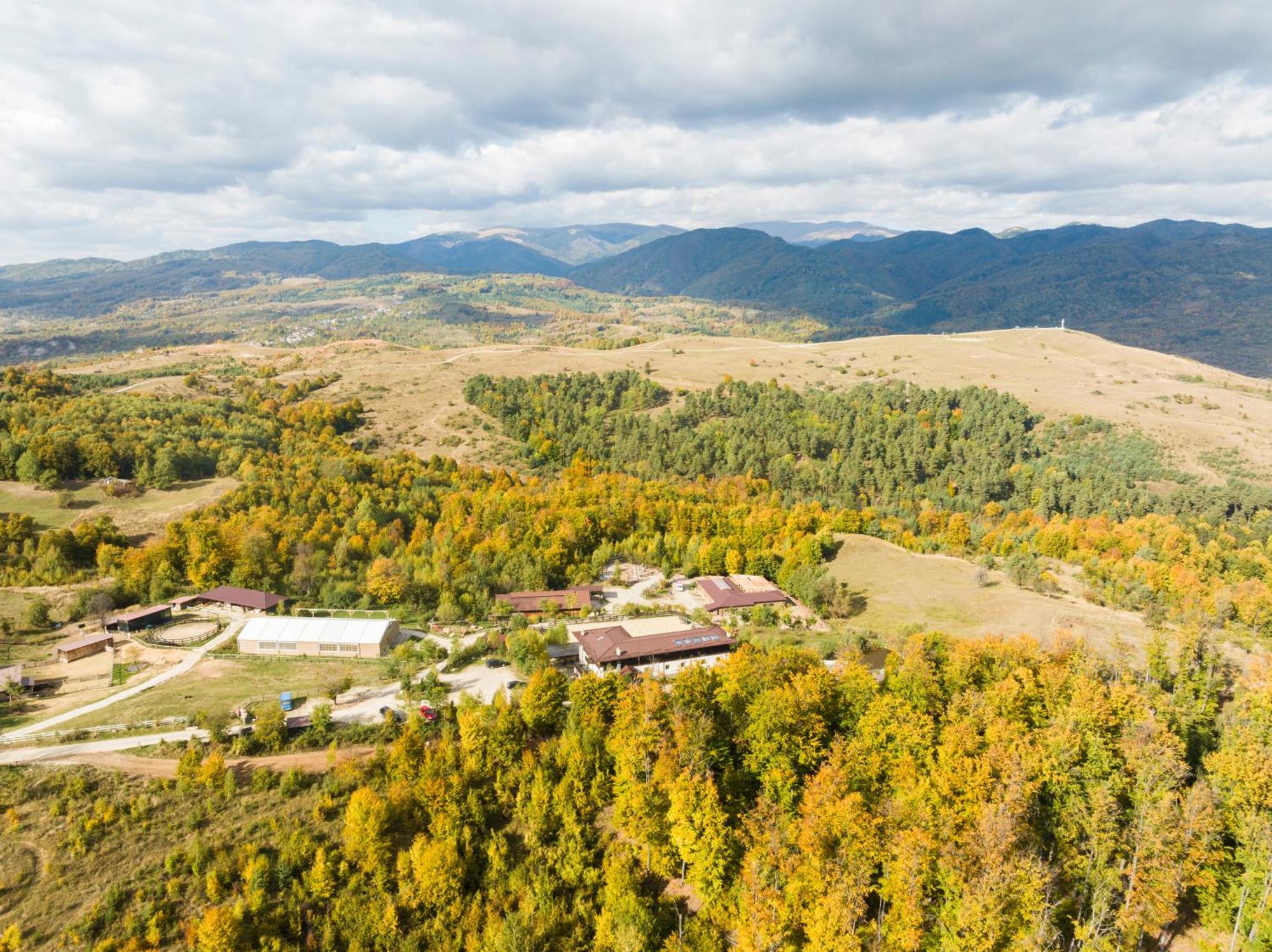 Potcoava Mountain Hideaway 호텔 Runcu  외부 사진