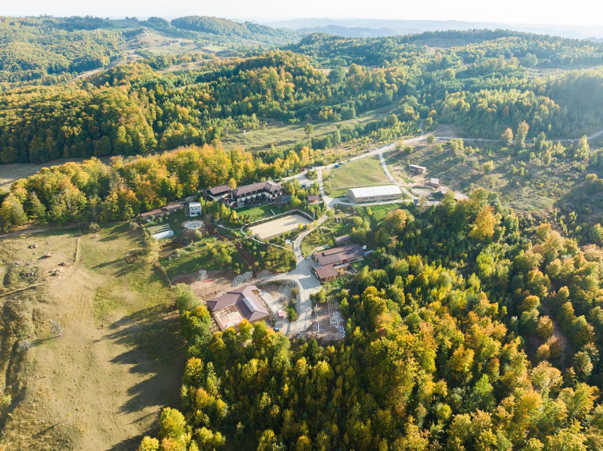 Potcoava Mountain Hideaway 호텔 Runcu  외부 사진