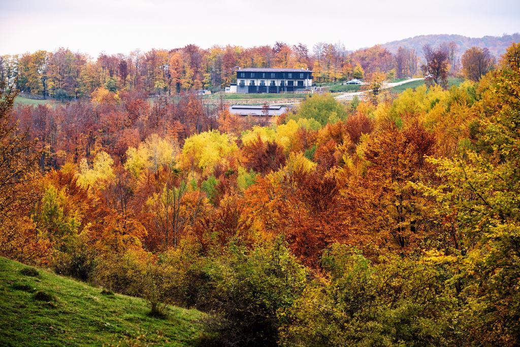 Potcoava Mountain Hideaway 호텔 Runcu  외부 사진