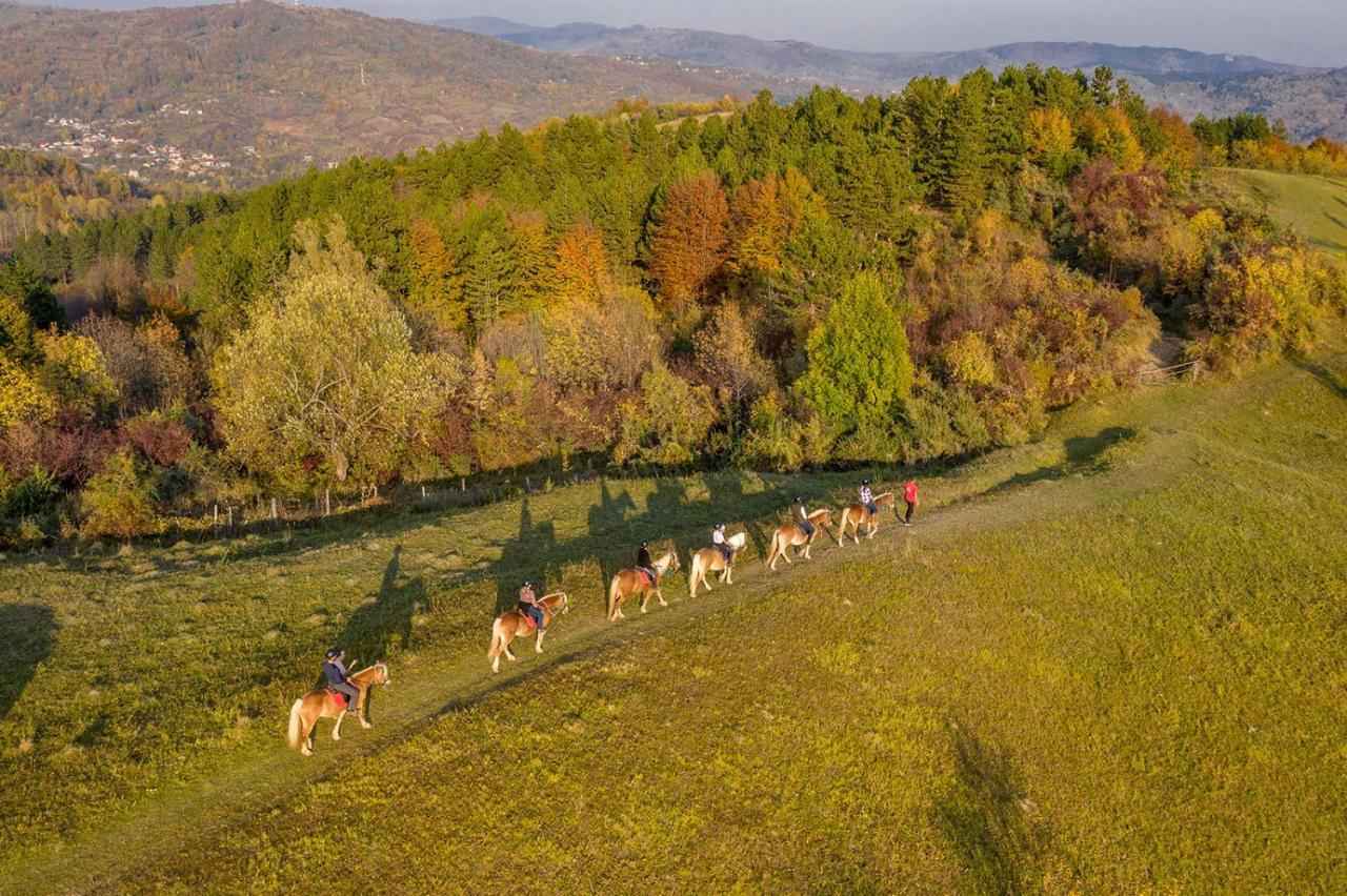 Potcoava Mountain Hideaway 호텔 Runcu  외부 사진